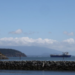 缩略图–全球国际货物代理有限公司与迪拜世界港口达成战略合作–全球国际货物代理有限公司