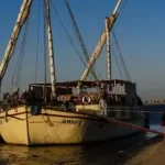 图–沉默甲板下的危机：谁在为全球贸易的“韧性”买单？–全球国际货物代理有限公司