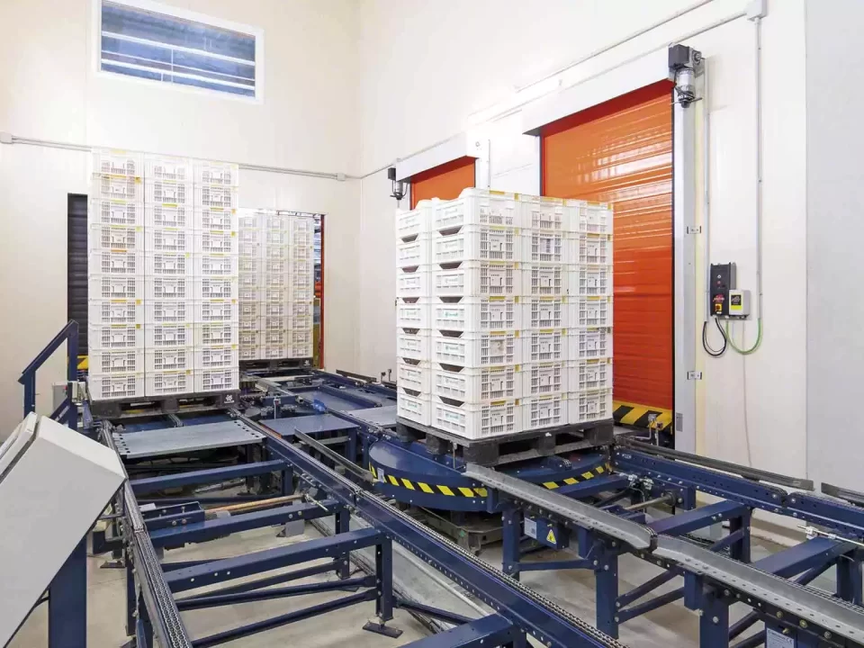 图–《中国冷链物流发展报告（2025）》深度解读–全球国际货物代理有限公司