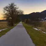 图–最后一英里配送革命：2025年城市物流的智能化与绿色化转型–全球国际货物代理有限公司