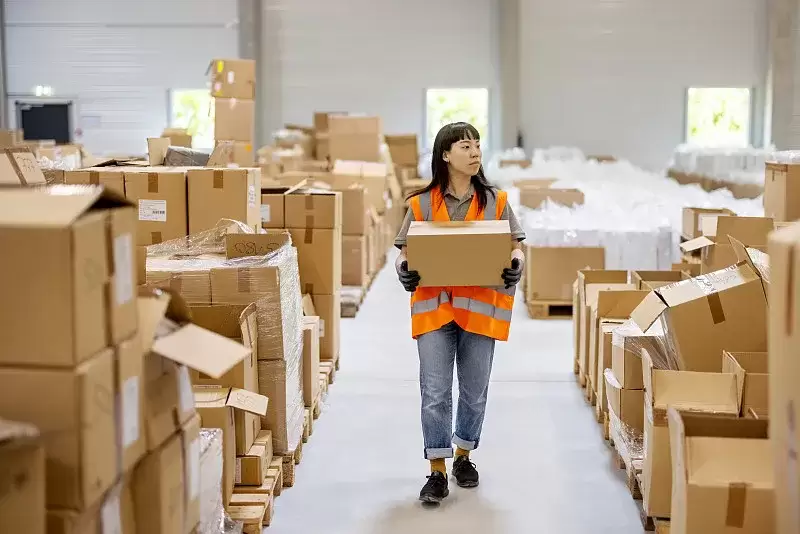 图1–韧性与结构：解码2025中国物流“平稳增长”背后的真正力量–全球国际货物代理有限公司