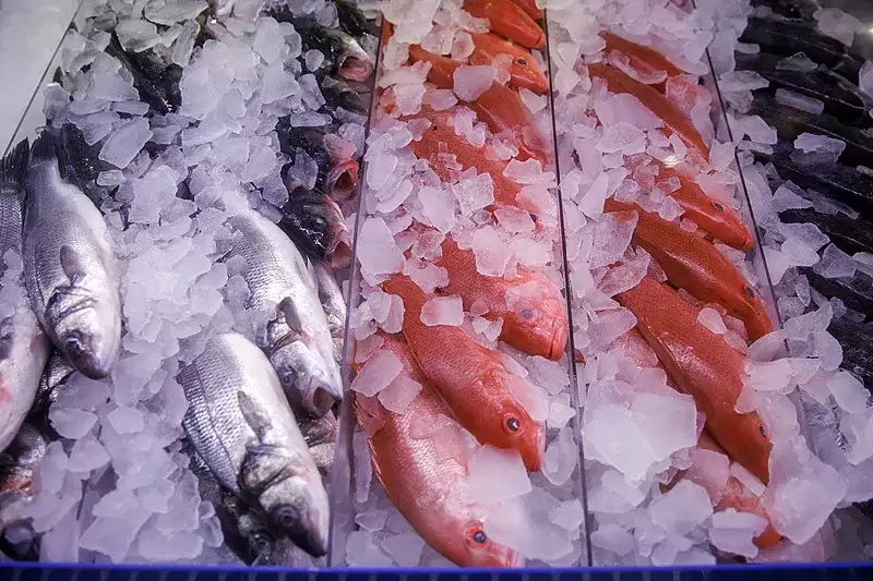 图1–12月冷链物流市场新格局：机遇与挑战并存–全球国际货物运输