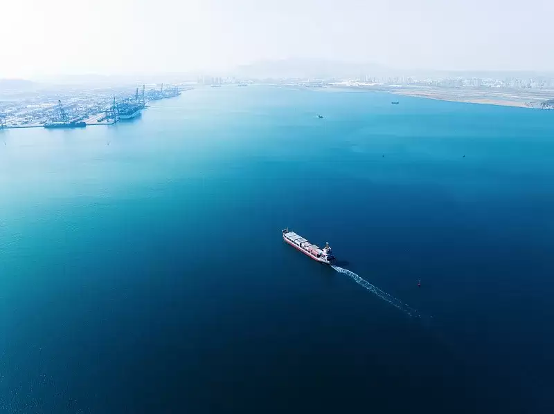 图1–中国物流出海进入深水区：规模化、本地化与绿色化塑造全球竞争力–全球国际货物运输