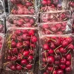 图–首条“樱桃快航”抵沪，生鲜物流旺季开启–全球国际货物运输