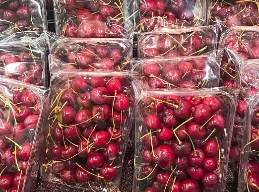 图–首条“樱桃快航”抵沪，生鲜物流旺季开启–全球国际货物运输