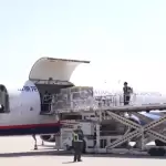 图–亚太引领与中国的响应：全球航空货运新格局下的物流动能–全球国际货物运输