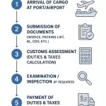 图–国际物流清关全流程：从申报到放行的关键节点解析–全球国际货物运输