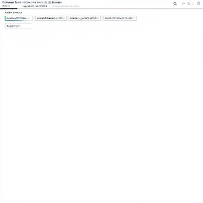 图2–为什么选一个好域名对国际物流网站至关重要?–全球国际货物运输 图2–为什么选一个好域名对国际物流网站至关重要?–全球国际货物运输