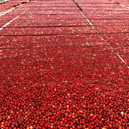 图2–怎么找到喀什樱桃国际物流电话?一招解决你的难题–全球国际货物运输 图2–怎么找到喀什樱桃国际物流电话?一招解决你的难题–全球国际货物运输