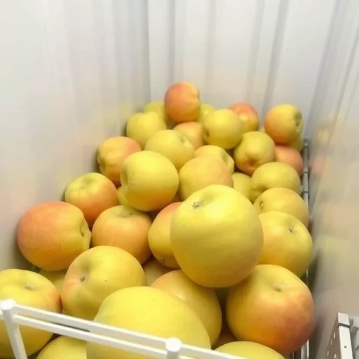 食品可以走国际物流吗?答案在这里–辰飞雨全球国际货物运 食品可以走国际物流吗?答案在这里–辰飞雨全球国际货物运